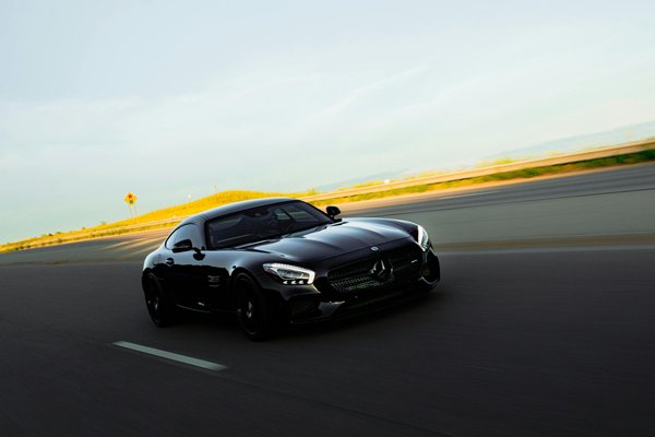 Crafting the Ultimate Small Rodent Sanctuary: Essential Tips and Innovative Ideas