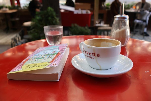 Effective Tactics to Keep Your Cat Hydrated and Healthy During Kidney Disease